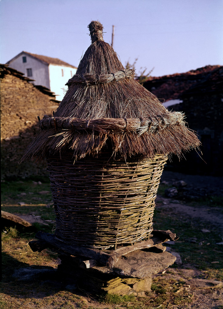 Horreo Cabazo De Mimbre Con Tejado De Brezo - Foto Aos 60